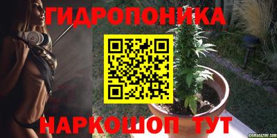 крисы Малоярославец